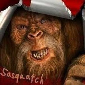 Meet your Posher, Gerome